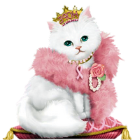 a white kitty princess